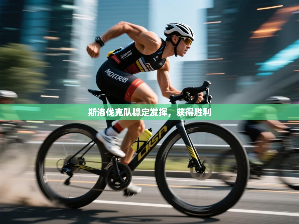 斯洛伐克队稳定发挥,获得胜利 第2张