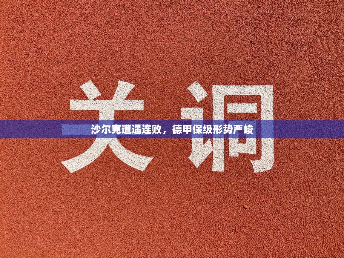 沙尔克遭遇连败，德甲保级形势严峻  第1张